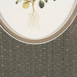 Viola Arvensis Flowers by Pierre Joseph Redoute a Hand Embellished Framed Print under Glass by Mercana at Eve Furniture
