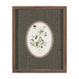 Viola Arvensis Flowers by Pierre Joseph Redoute a Hand Embellished Framed Print under Glass by Mercana at Eve Furniture