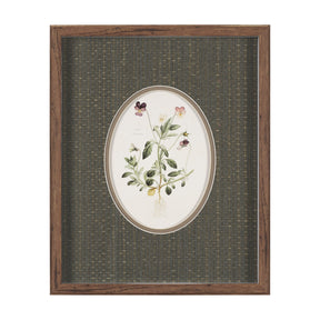 Viola Arvensis Flowers by Pierre Joseph Redoute a Hand Embellished Framed Print under Glass by Mercana at Eve Furniture