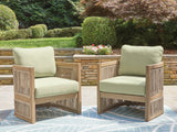 Vision Lane Beige/Green Outdoor Lounge Chair (Set of 2) by Ashley at Eve Furniture