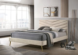 Vivar Beige King Bed by Furniture of America at Eve Furniture