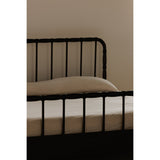 Vivian Brown Bed Queen by Moe's Home at Eve Furniture