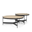 Wade Travertine Marble w/ Matte Black Metal Coffee Tables by Mercana at Eve Furniture