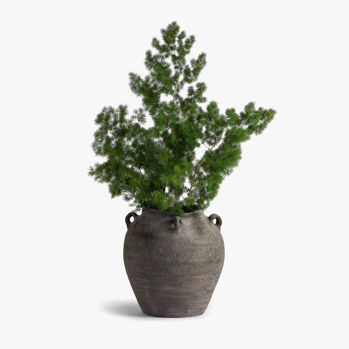 Wagon Road Vase by Co.House Designs at Eve Furniture