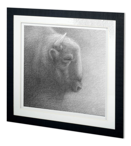 Wake Up in the Night II by Simone a Framed Art Print Matted under Glass by Mercana at Eve Furniture