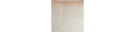 Waldish Cream/Beige Table Lamp by Ashley at Eve Furniture