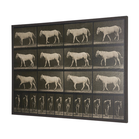 Walking Free by Eadweard Muybridge Textured Framed CanvasPhoto Print by Mercana at Eve Furniture