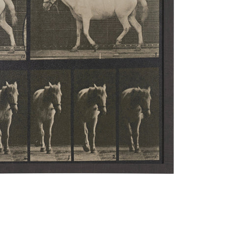Walking Free by Eadweard Muybridge Textured Framed CanvasPhoto Print by Mercana at Eve Furniture