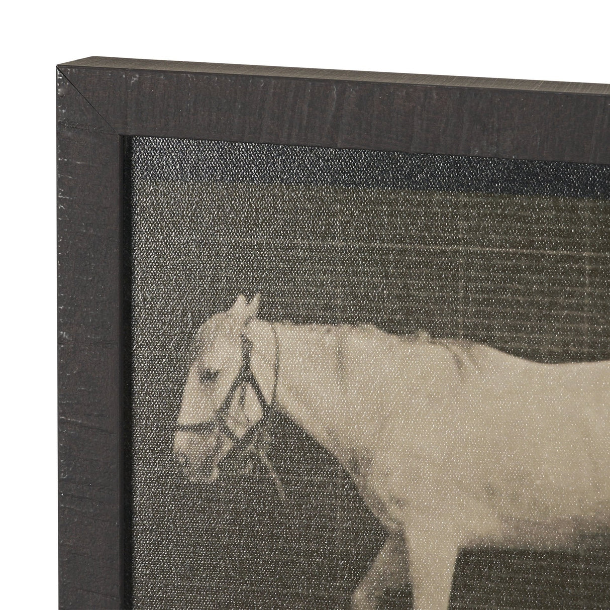 Walking Free by Eadweard Muybridge Textured Framed CanvasPhoto Print by Mercana at Eve Furniture