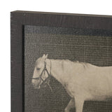 Walking Free by Eadweard Muybridge Textured Framed CanvasPhoto Print by Mercana at Eve Furniture