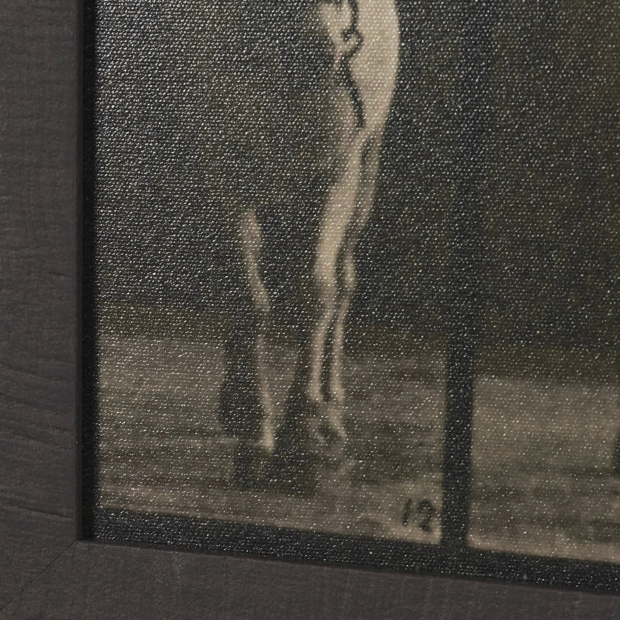 Walking Free by Eadweard Muybridge Textured Framed CanvasPhoto Print by Mercana at Eve Furniture
