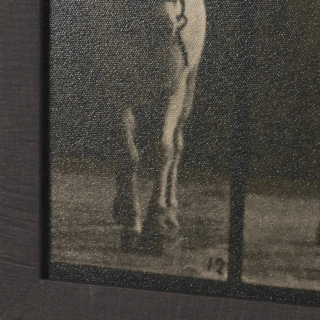 Walking Free by Eadweard Muybridge Textured Framed CanvasPhoto Print by Mercana at Eve Furniture