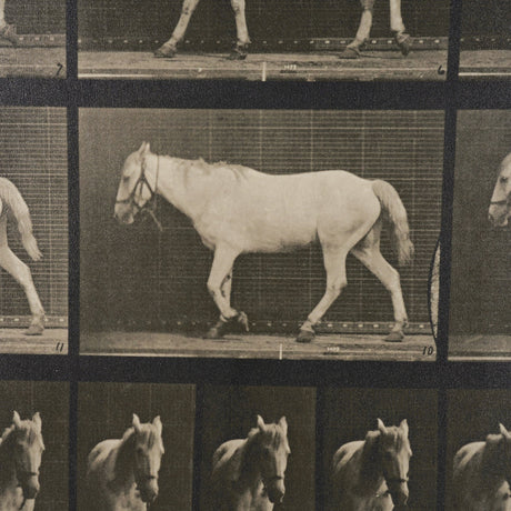 Walking Free by Eadweard Muybridge Textured Framed CanvasPhoto Print by Mercana at Eve Furniture