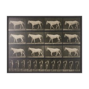 Walking Free by Eadweard Muybridge Textured Framed CanvasPhoto Print by Mercana at Eve Furniture