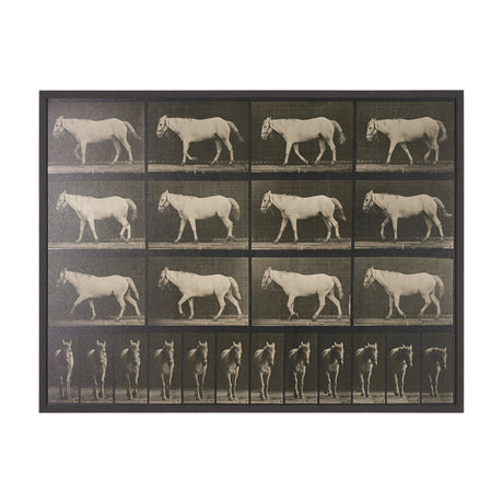 Walking Free by Eadweard Muybridge Textured Framed CanvasPhoto Print by Mercana at Eve Furniture