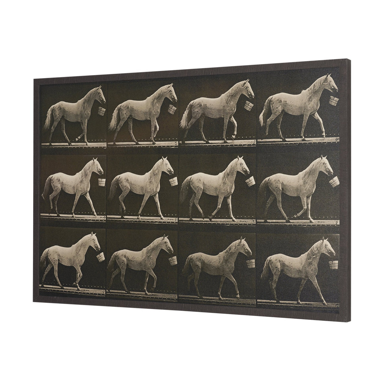 Walking Tall by Eadweard Muybridge Textured Framed CanvasPhoto Print by Mercana at Eve Furniture