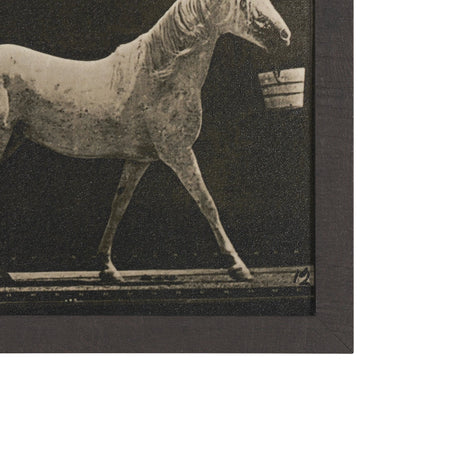 Walking Tall by Eadweard Muybridge Textured Framed CanvasPhoto Print by Mercana at Eve Furniture