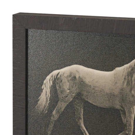Walking Tall by Eadweard Muybridge Textured Framed CanvasPhoto Print by Mercana at Eve Furniture
