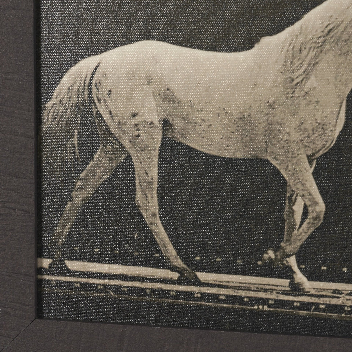 Walking Tall by Eadweard Muybridge Textured Framed CanvasPhoto Print by Mercana at Eve Furniture