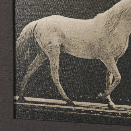 Walking Tall by Eadweard Muybridge Textured Framed CanvasPhoto Print by Mercana at Eve Furniture