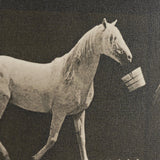 Walking Tall by Eadweard Muybridge Textured Framed CanvasPhoto Print by Mercana at Eve Furniture