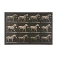 Walking Tall by Eadweard Muybridge Textured Framed CanvasPhoto Print by Mercana at Eve Furniture