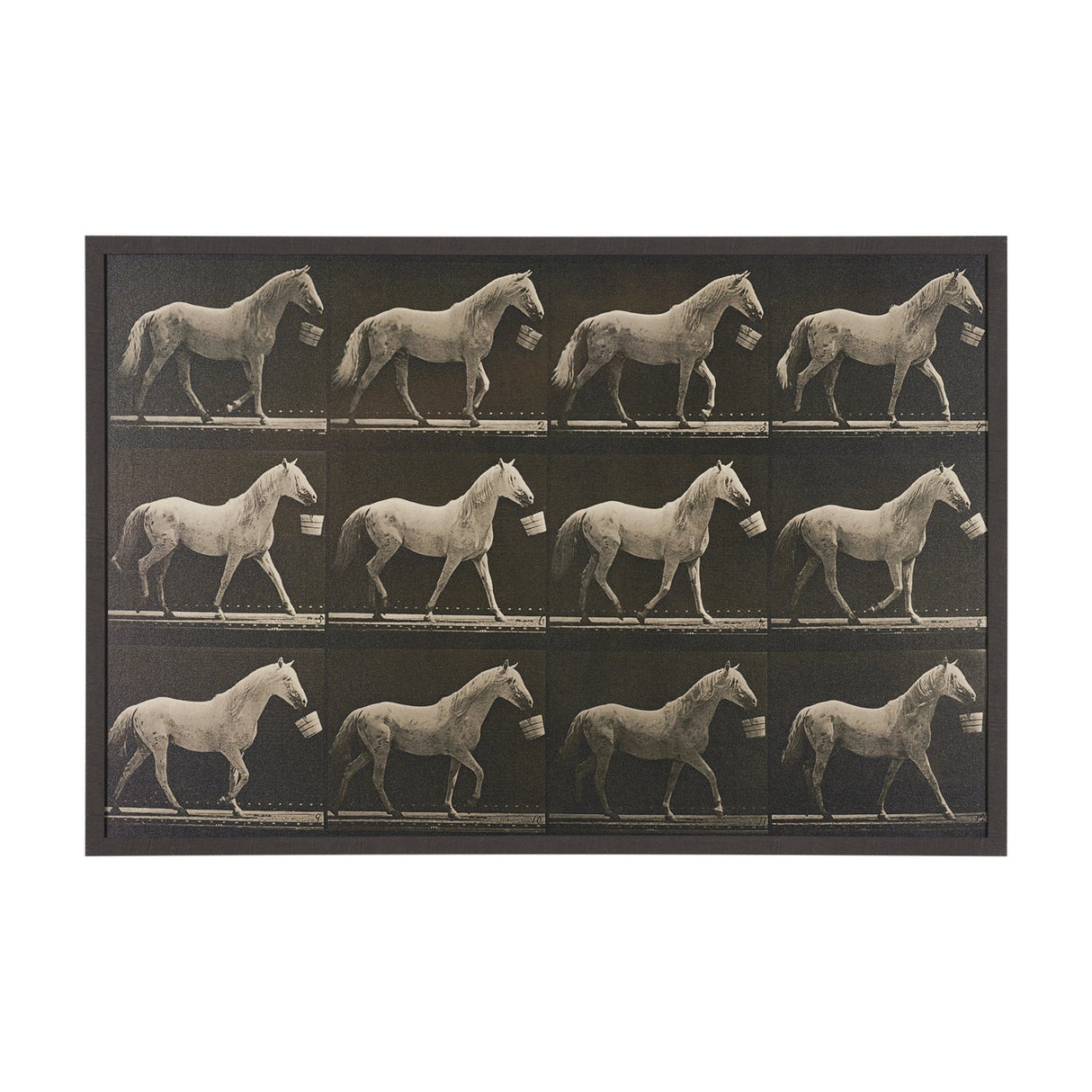 Walking Tall by Eadweard Muybridge Textured Framed CanvasPhoto Print by Mercana at Eve Furniture