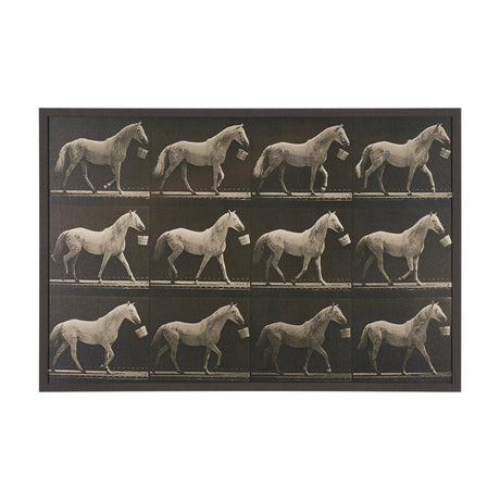 Walking Tall by Eadweard Muybridge Textured Framed CanvasPhoto Print by Mercana at Eve Furniture
