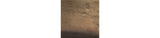 Wallmen Champagne Gold Finish Tray by Ashley at Eve Furniture