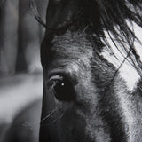 Watched Presence by Mercana Studio a Hand Embellished Textured Framed Photo Art Print Matted under G by Mercana at Eve Furniture