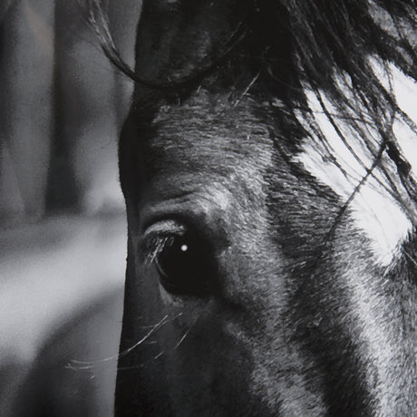 Watched Presence by Mercana Studio a Hand Embellished Textured Framed Photo Art Print Matted under G by Mercana at Eve Furniture