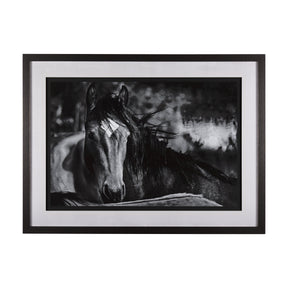 Watched Presence by Mercana Studio a Hand Embellished Textured Framed Photo Art Print Matted under G by Mercana at Eve Furniture