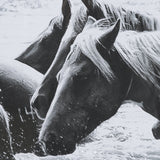 Water Horses III 1 by PH Burchett a Hand Embellished Textured Framed Photo Art Print Matted under Gl by Mercana at Eve Furniture