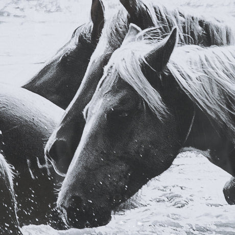 Water Horses III 1 by PH Burchett a Hand Embellished Textured Framed Photo Art Print Matted under Gl by Mercana at Eve Furniture