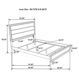 Watson Gray Oak 5-Piece Queen Bedroom Set by Coaster at Eve Furniture