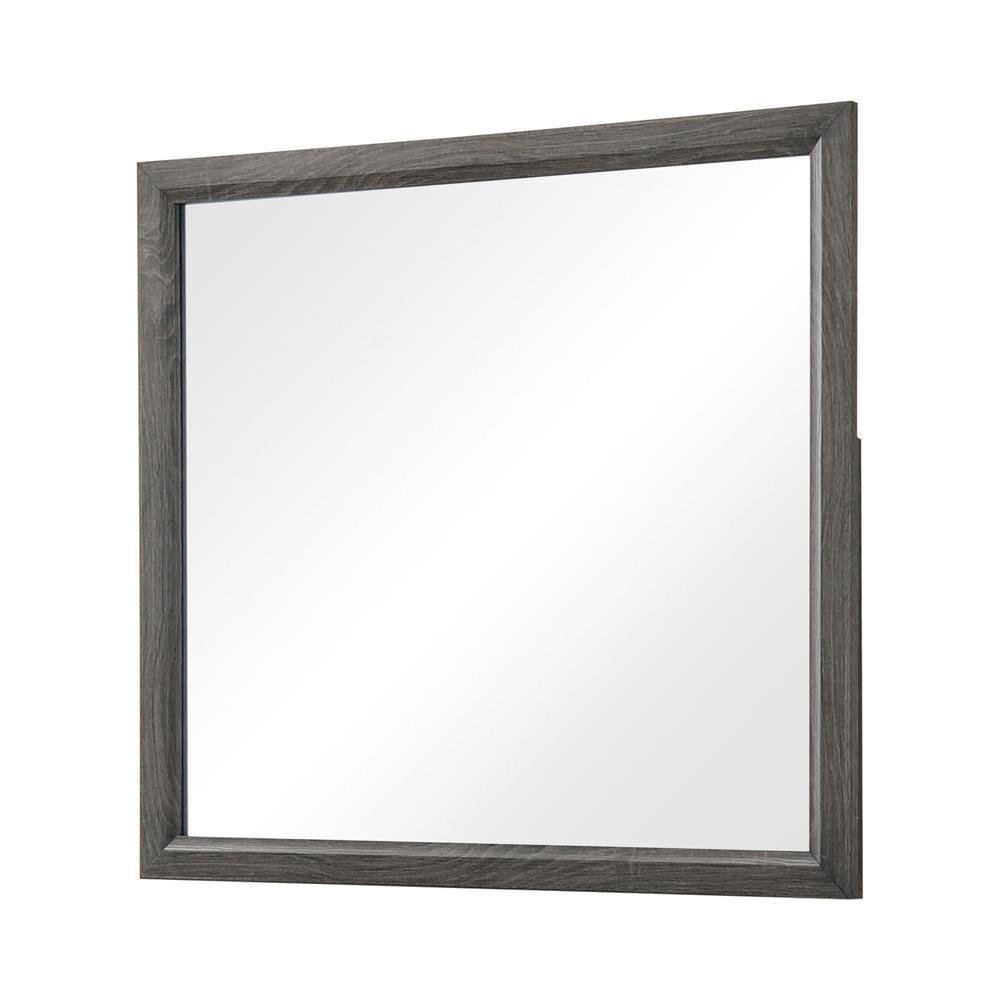 Watson Gray Oak Mirror by Coaster at Eve Furniture