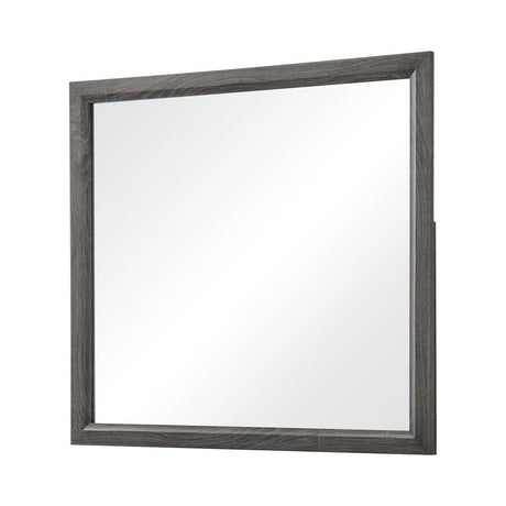 Watson Gray Oak Mirror by Coaster at Eve Furniture