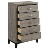 Watson Light Taupe 5-drawer Bedroom Chest of Drawers by Coaster at Eve Furniture