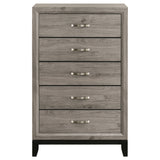 Watson Light Taupe 5-drawer Bedroom Chest of Drawers by Coaster at Eve Furniture