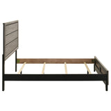 Watson Light Taupe Wood Queen Panel Bed by Coaster at Eve Furniture