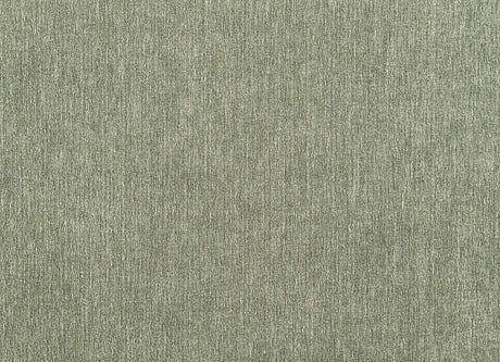 Watton Olive Green Chair by Furniture of America at Eve Furniture