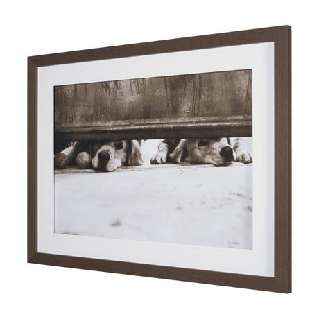 We See You Dogs by Jim Dratfield Framed Photo Print under Glass by Mercana at Eve Furniture