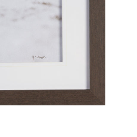 We See You Dogs by Jim Dratfield Framed Photo Print under Glass by Mercana at Eve Furniture