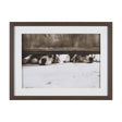We See You Dogs by Jim Dratfield Framed Photo Print under Glass by Mercana at Eve Furniture
