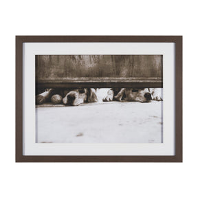 We See You Dogs by Jim Dratfield Framed Photo Print under Glass by Mercana at Eve Furniture