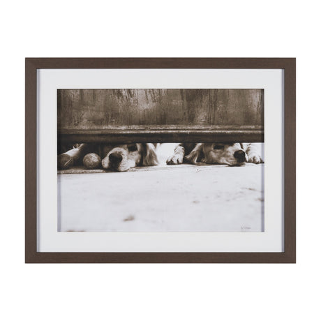 We See You Dogs by Jim Dratfield Framed Photo Print under Glass by Mercana at Eve Furniture