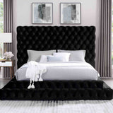 Stefania Black 5-Piece Queen Bedroom Set by Furniture of America at Eve Furniture