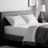 Weekender White Queen Down Alternative Pillow (2-Pack) by Malouf at Eve Furniture