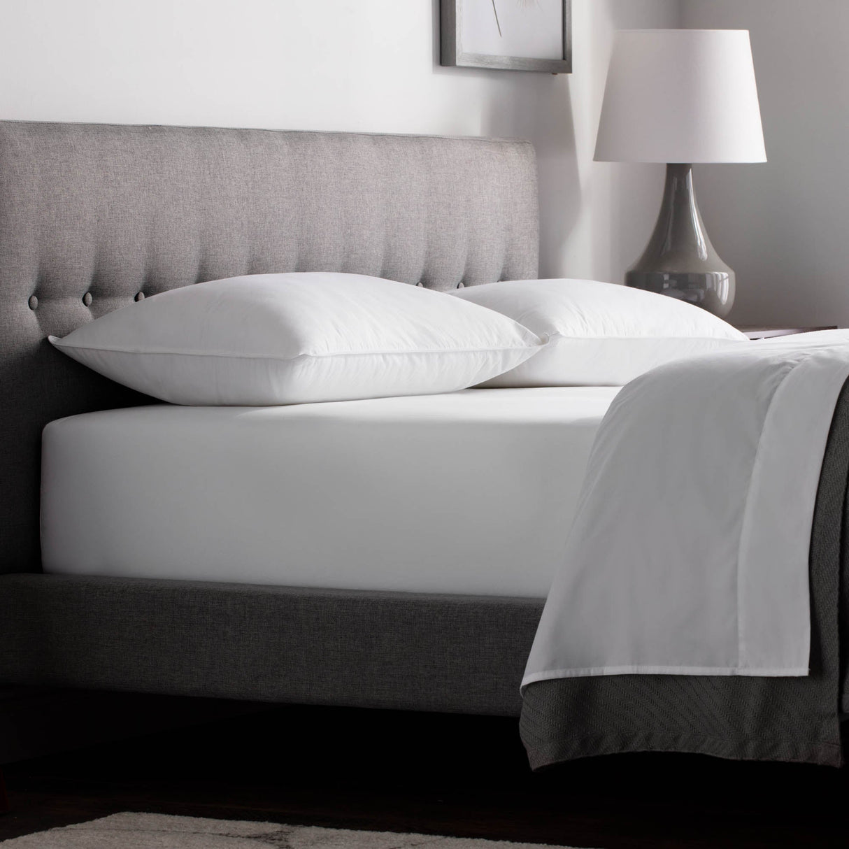 Weekender White Queen Down Alternative Pillow (2-Pack) by Malouf at Eve Furniture