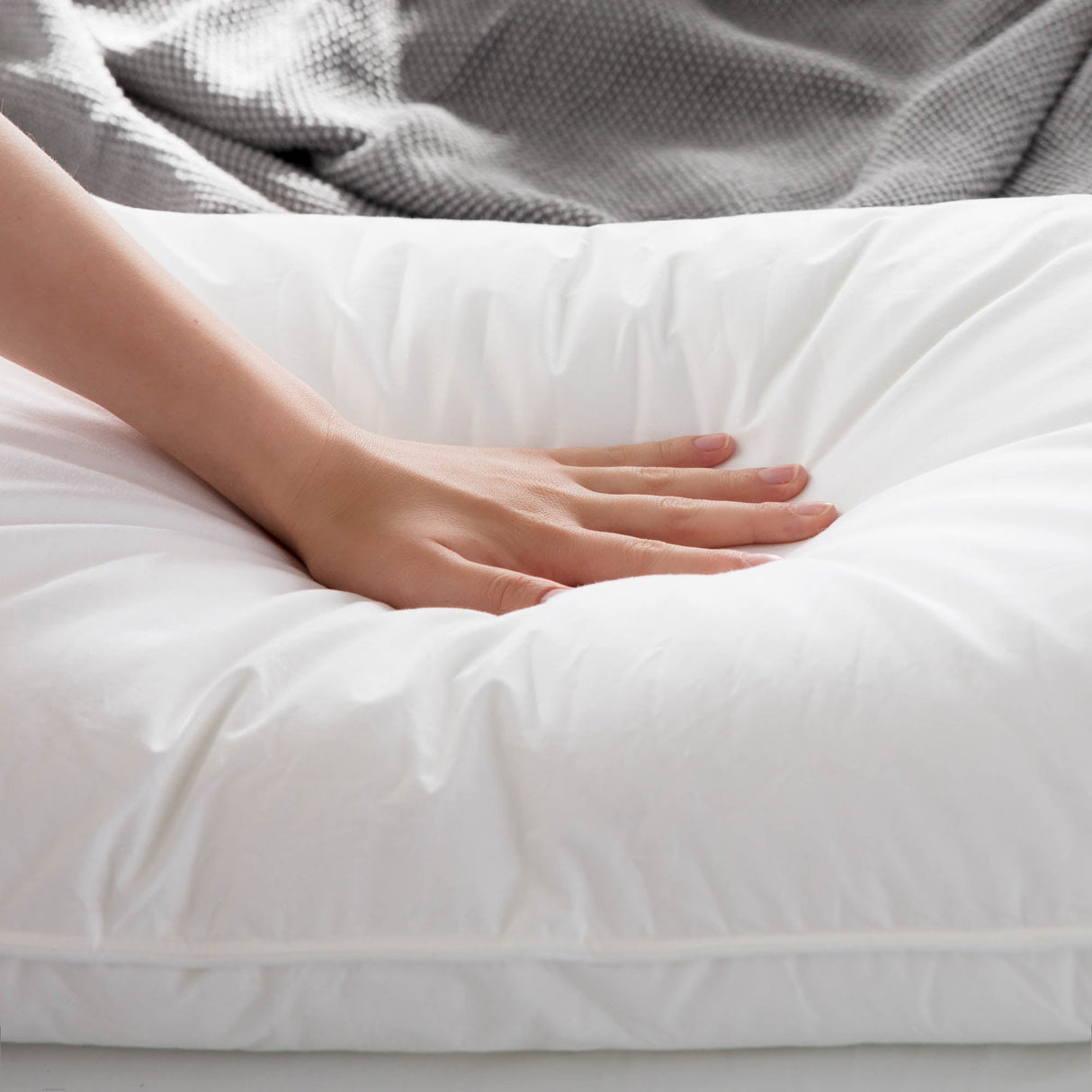 Weekender White/Blue Standard Down Alternative Pillow (2-Pack) by Malouf at Eve Furniture